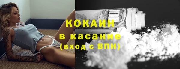 шишки Богородск
