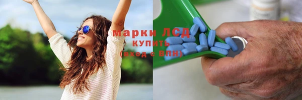 спиды Пересвет