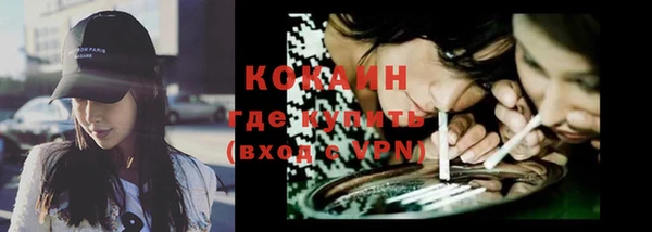 шишки Богородск