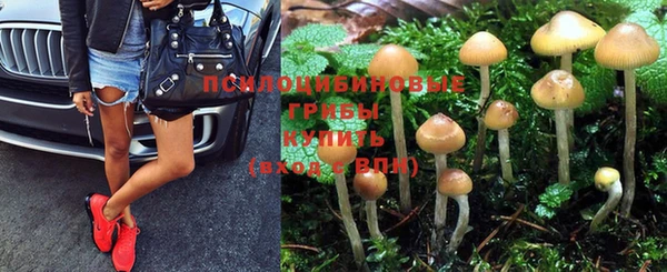 эйфоретик Пестово