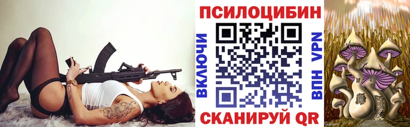 Псилоцибиновые грибы ЛСД купить закладку Богучар
