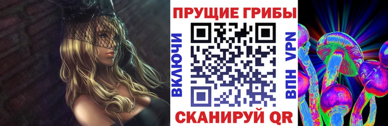 Псилоцибиновые грибы MAGIC MUSHROOMS Богучар